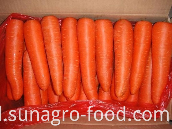 High Quality Dig Carrots